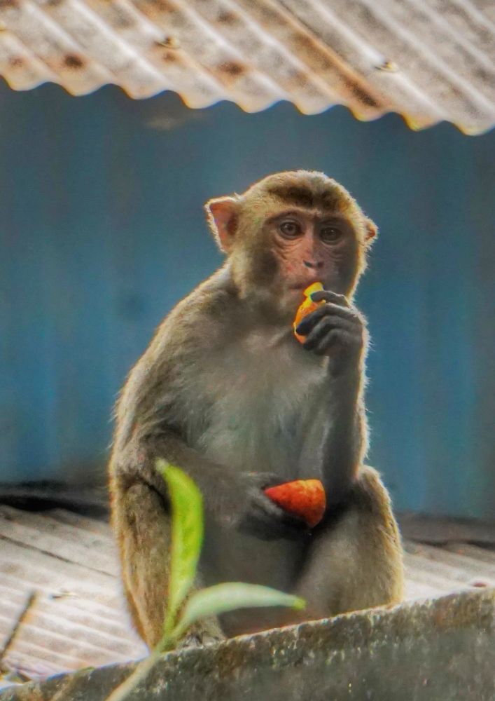 Фотография автора Washiful Majid