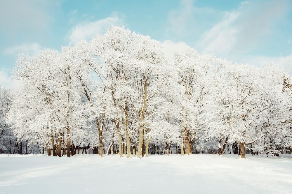 Photograph by Юлия Честнова