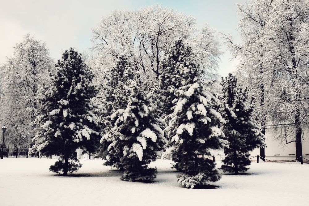 Photograph by Юлия Честнова