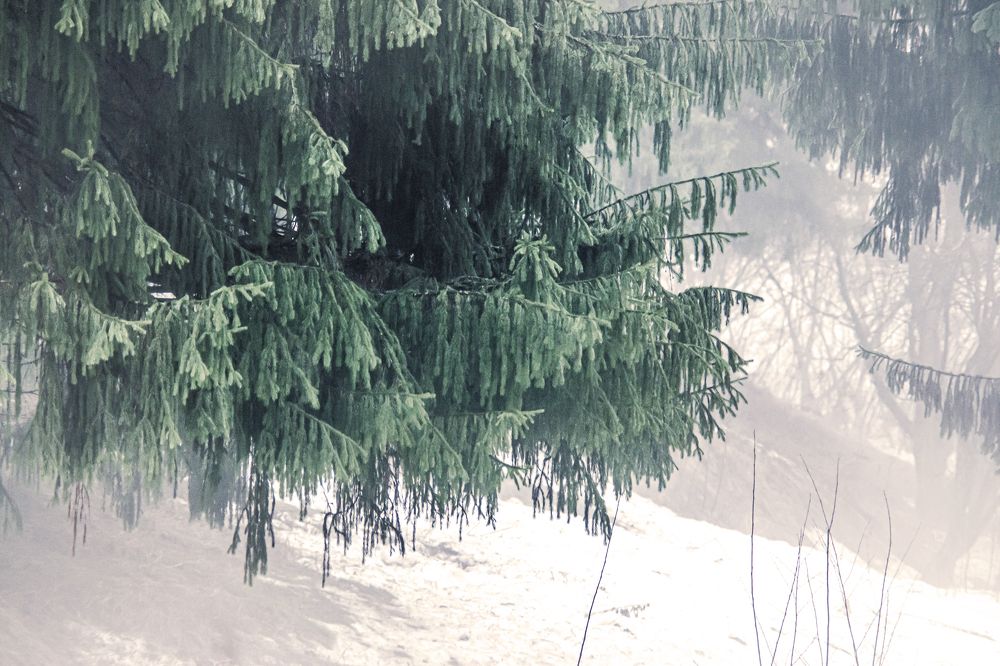 Photograph by Антон Гаврилов