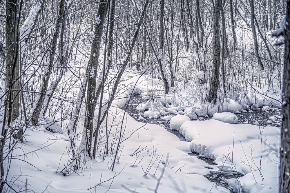 Photograph by Антон Гаврилов