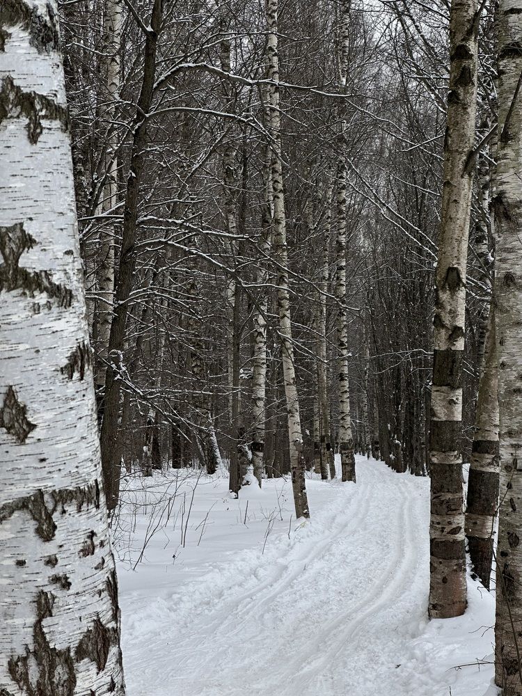 Photograph by Екатерина Корчагина