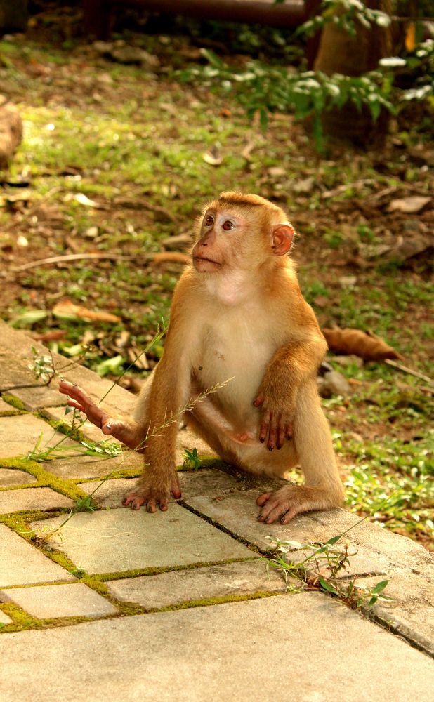 Photograph by Ксения Моськина