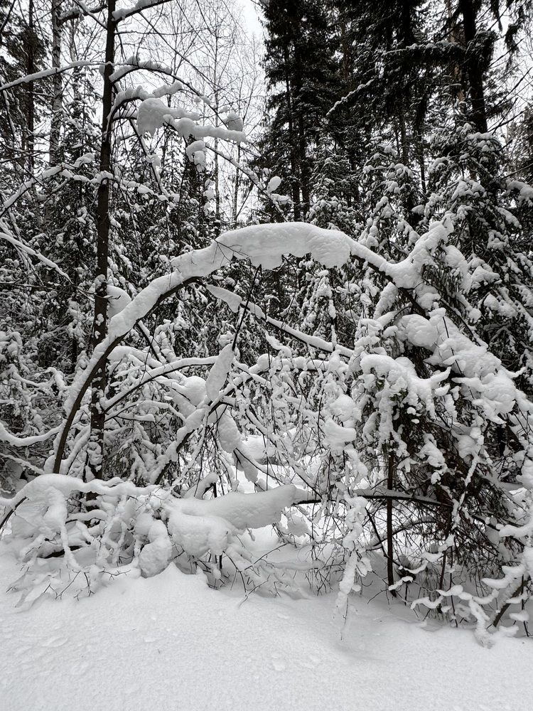 Photograph by Юлия Федорова