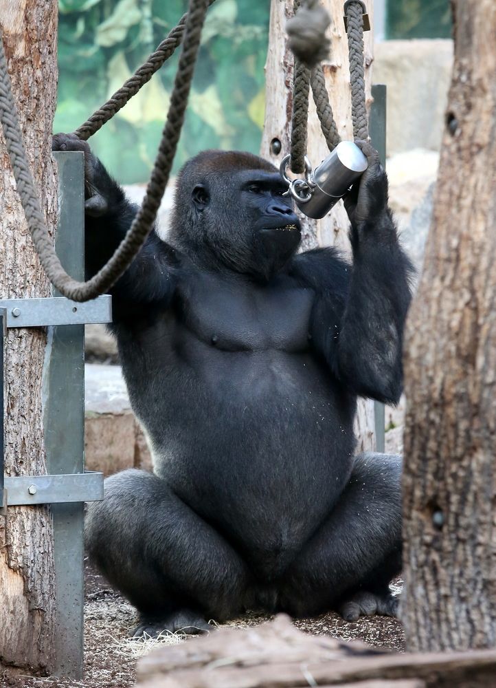 Photograph by Vladislav Kaplun