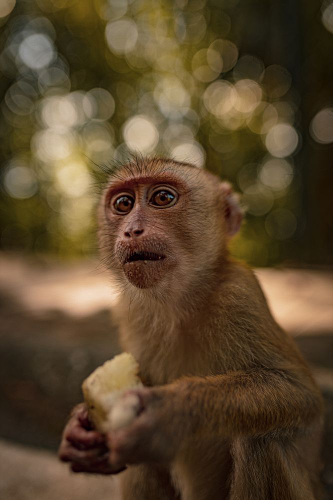 Photograph by Anastasiia Zobova