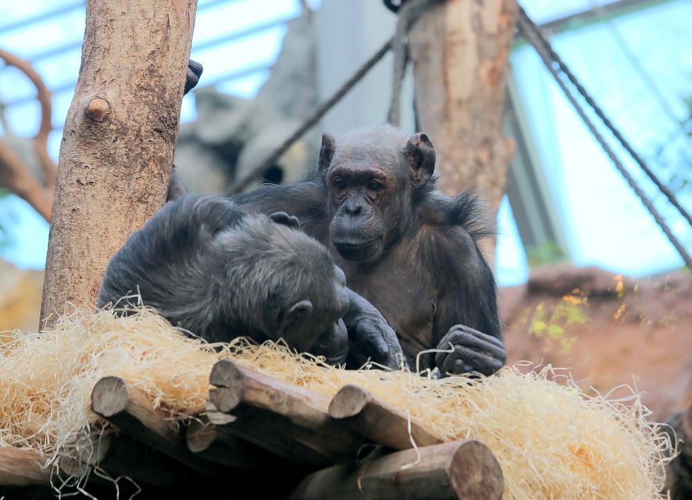 Photograph by Vladislav Kaplun