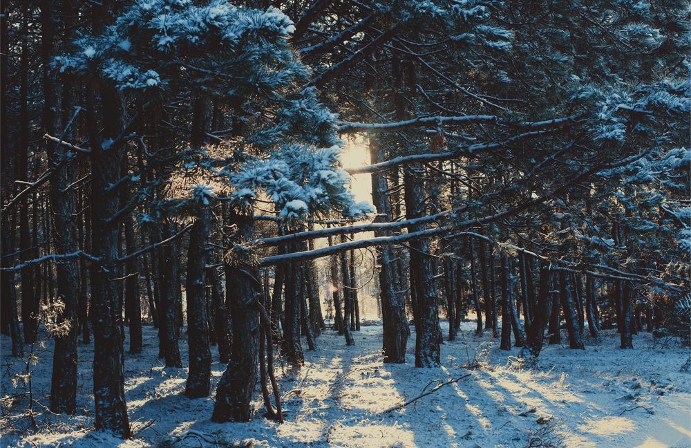 Photograph by Оксана Пономаренко