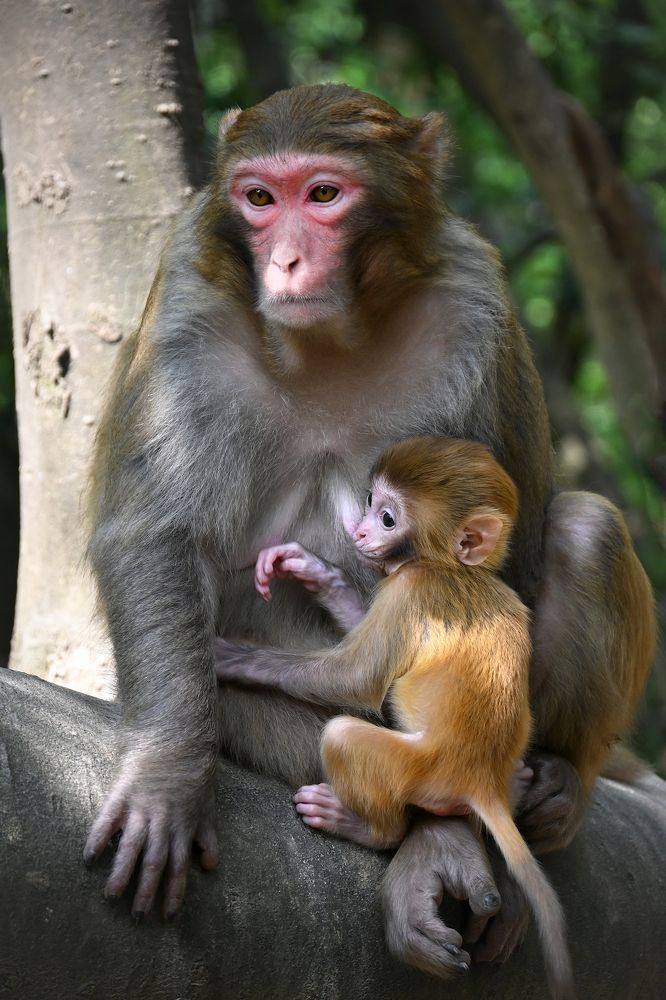 Photograph by Марина Никифорова