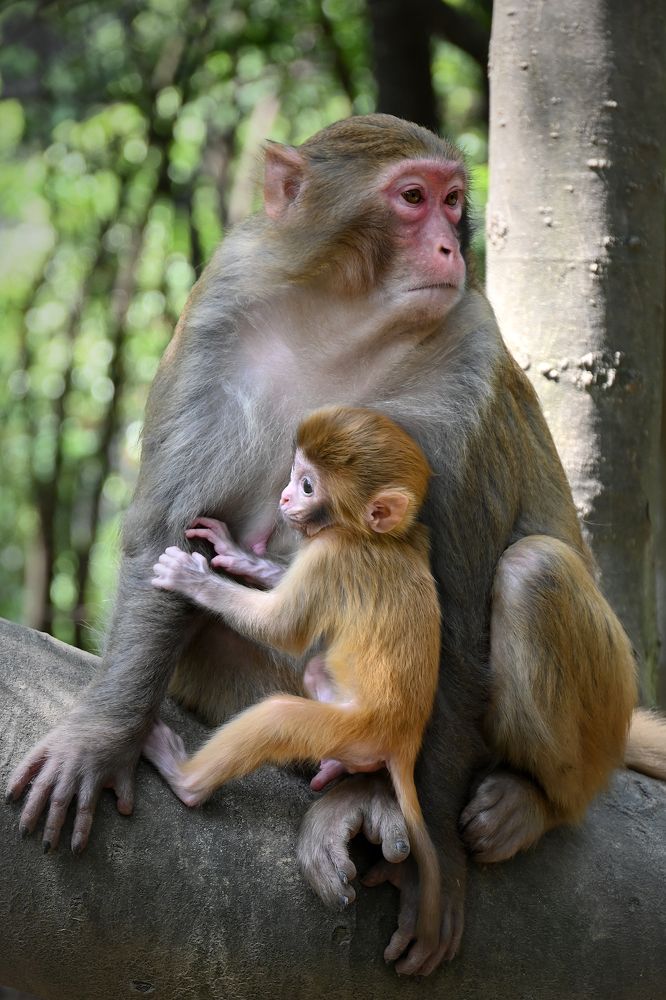 Photograph by Марина Никифорова