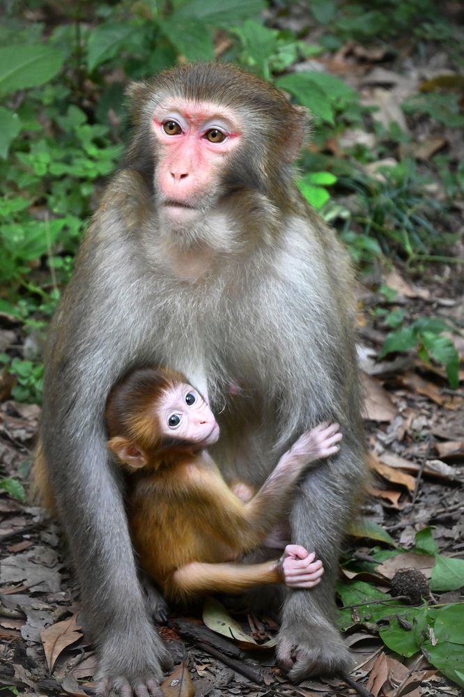 Photograph by Марина Никифорова