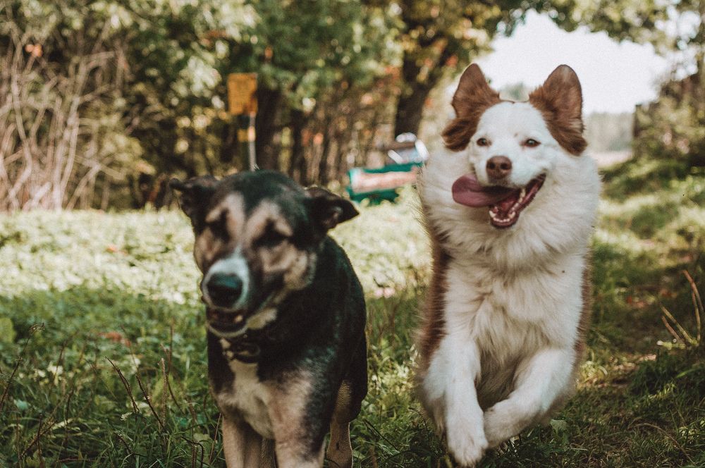 Photograph by Елена Подшевалова