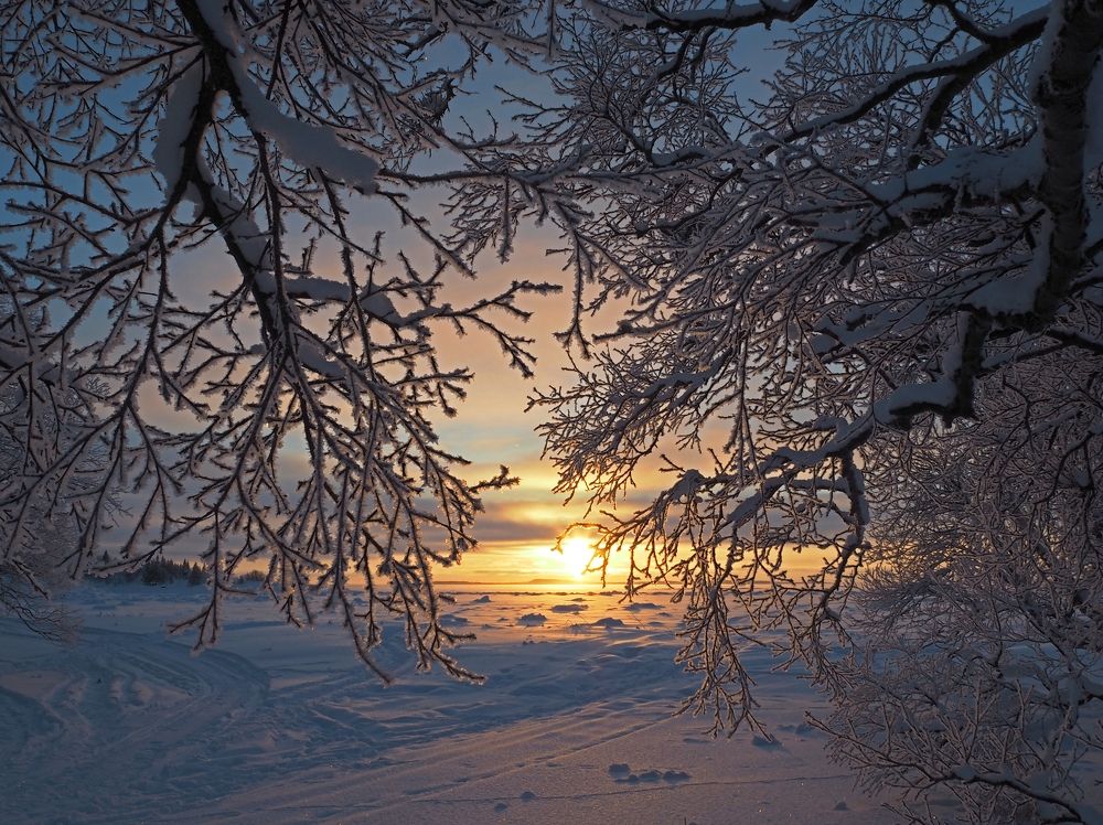 Photograph by Евгений Яковлев