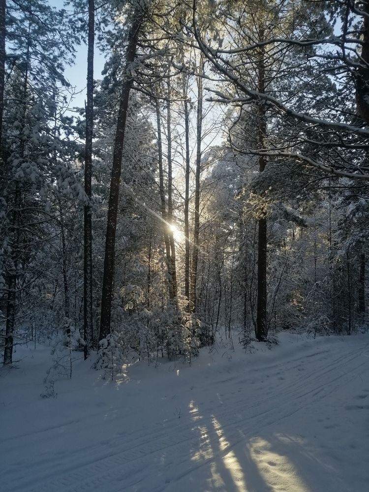 Photo #11703656
