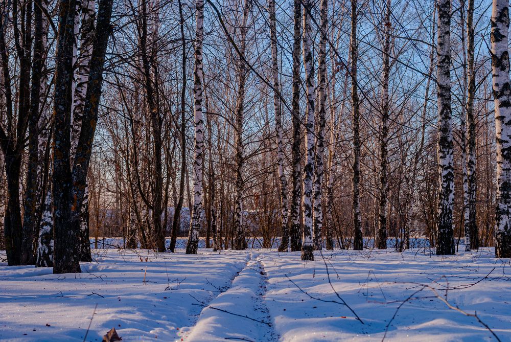 Photograph by Сергей Евсеев