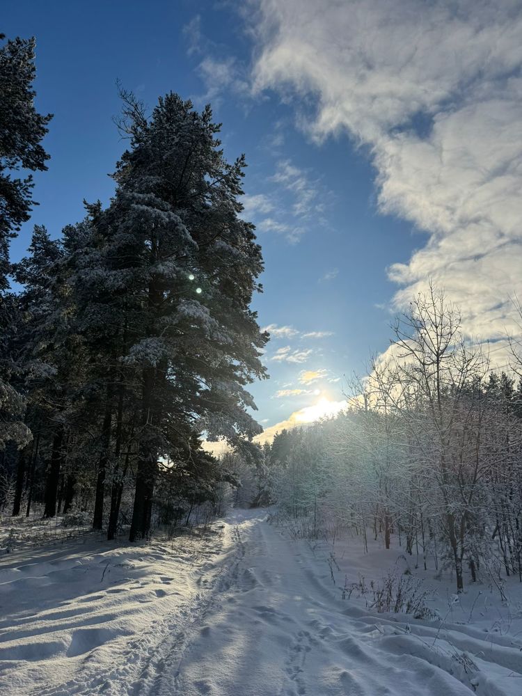 Photograph by Евгений Зиновьев