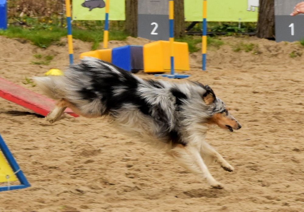 Photograph by Ирина Алексеева