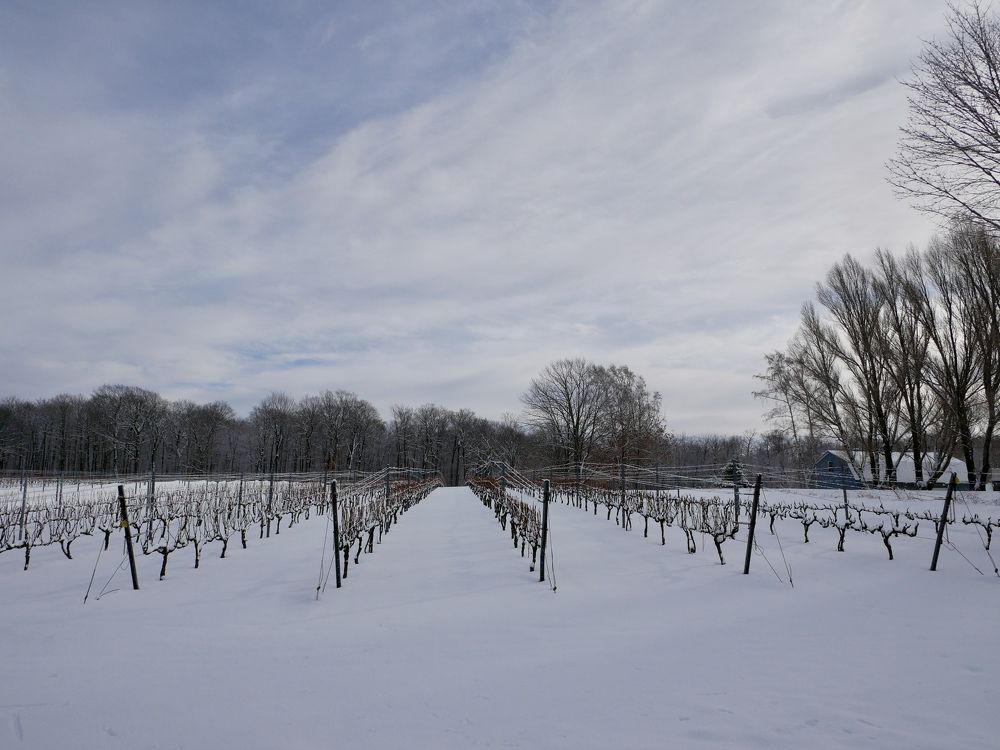 Photograph by Annie Trudel