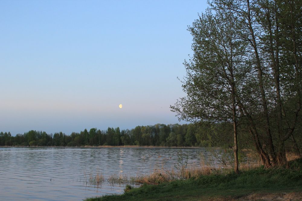 Photograph by Владимир Варава