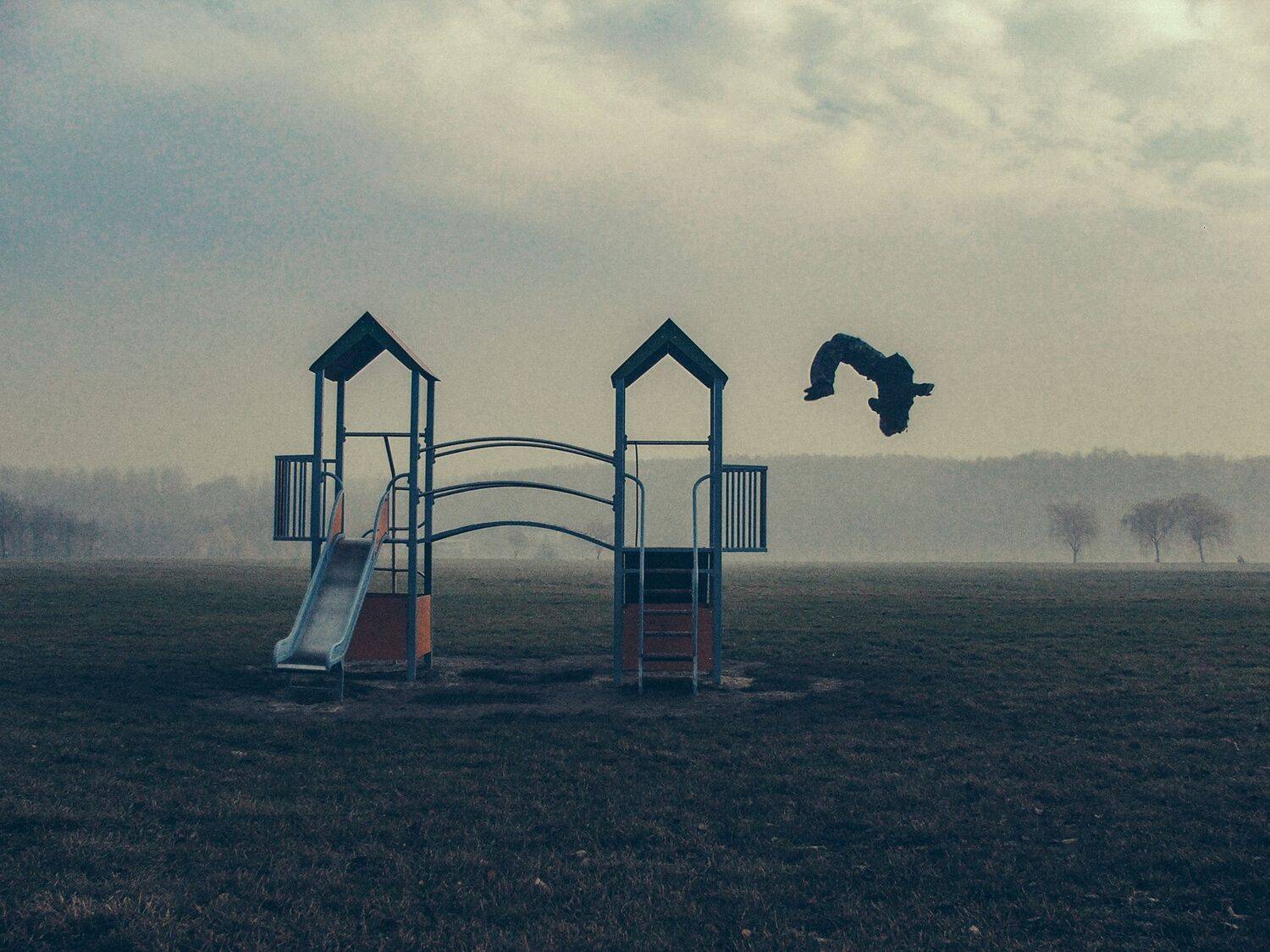 Photo #11703722