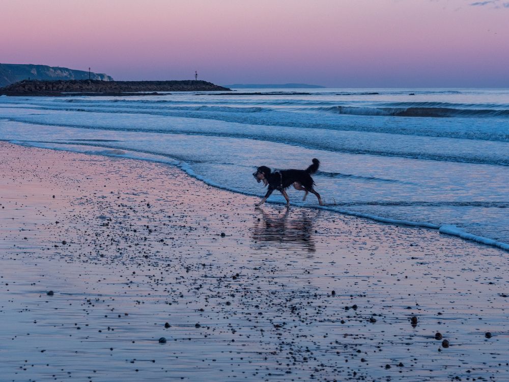 Photograph by Deborah Hicks