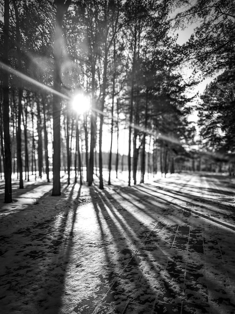 Photograph by Олега Тор