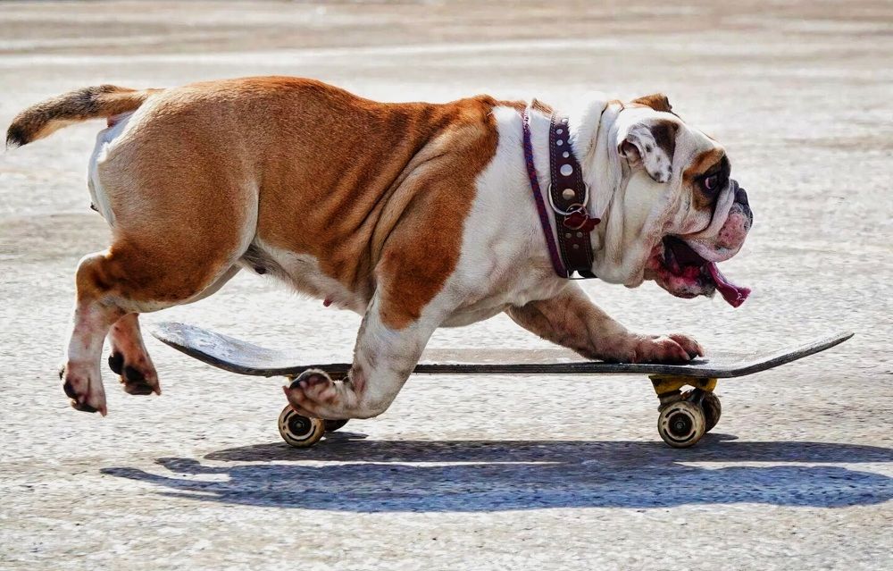 Не косаясь земли.