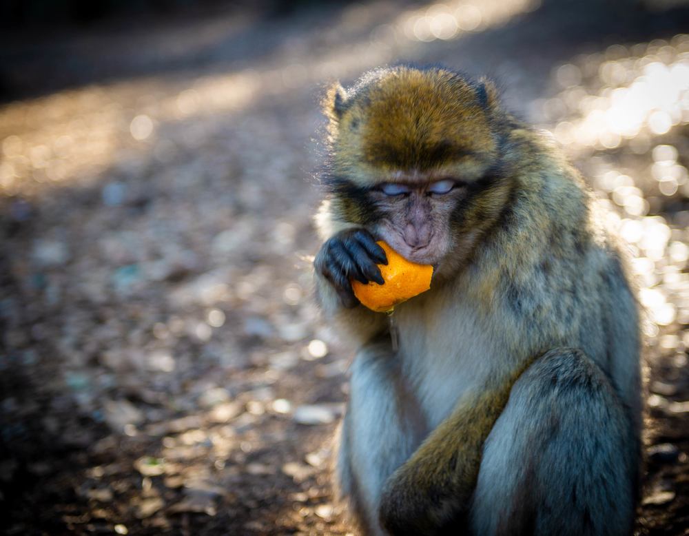 Photograph by Борис Дацковский