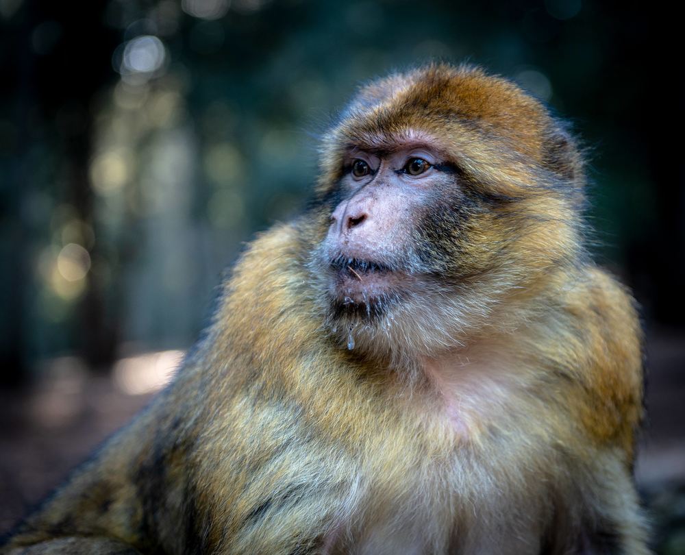 Photograph by Борис Дацковский