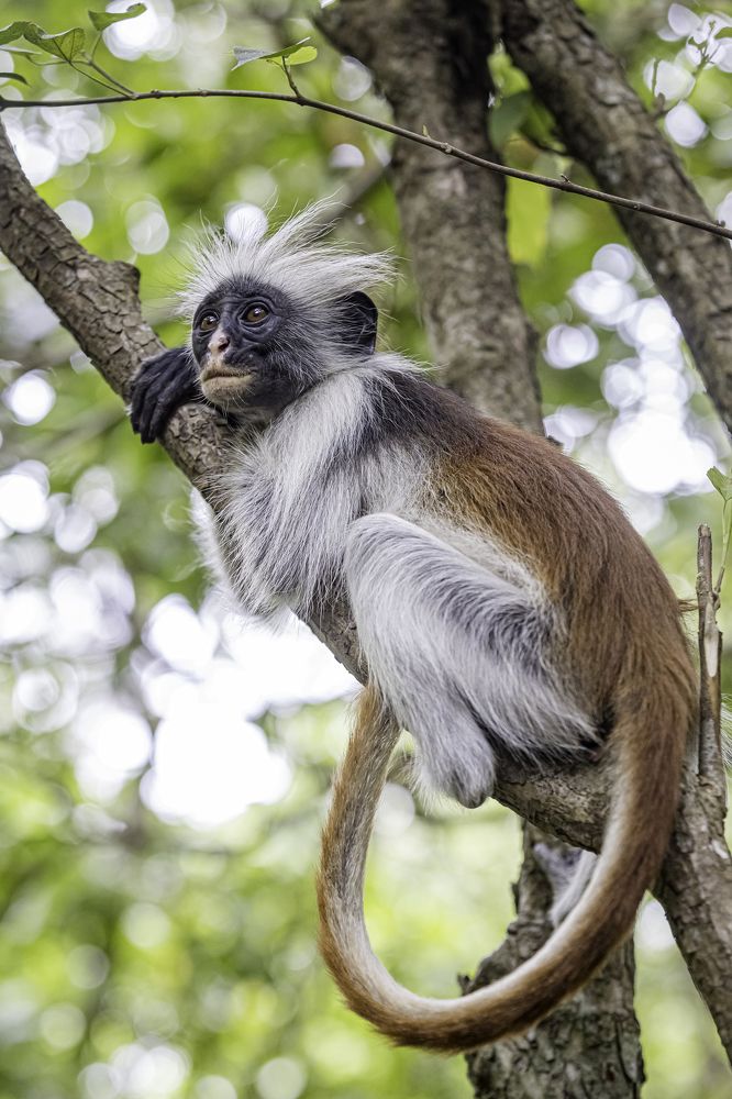 Photograph by Юлия Шурандина