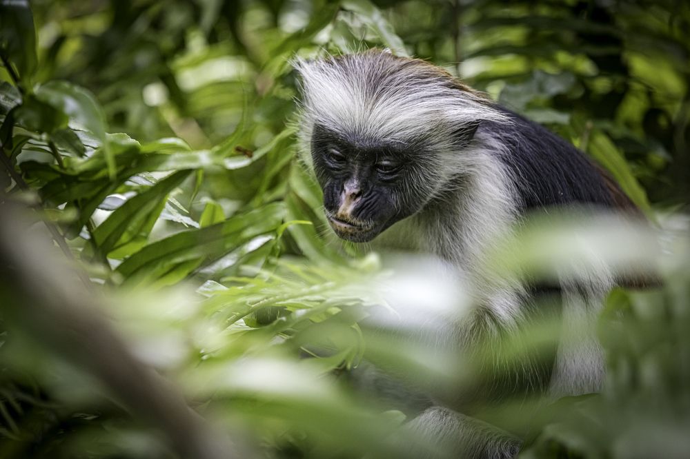 Photograph by Юлия Шурандина