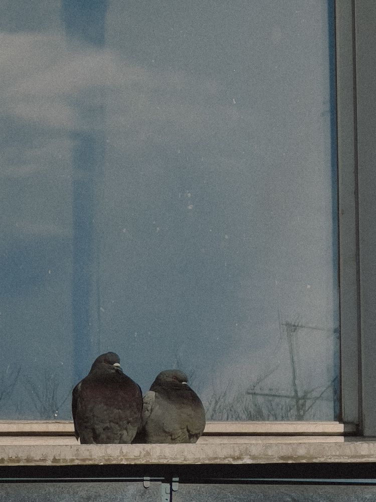Photograph by Дарья Батюкова