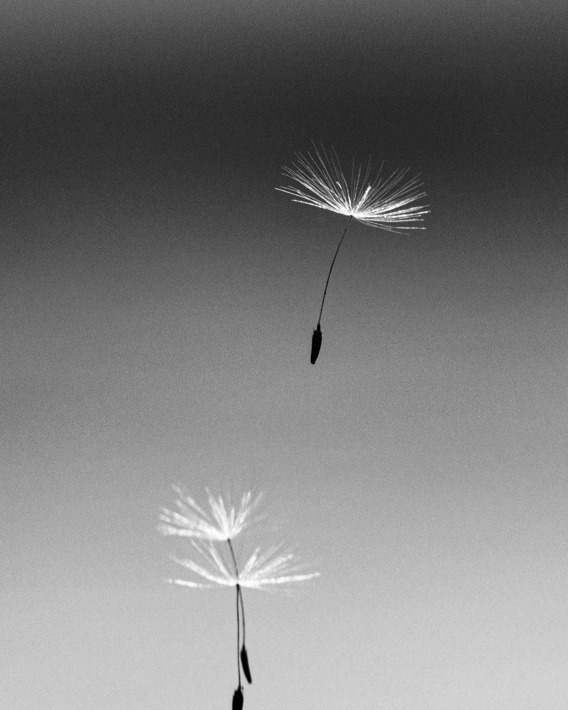 Photograph by Ольга Чибисова