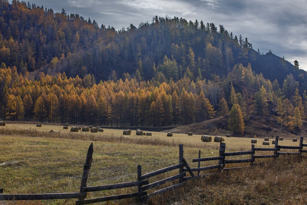 Photograph by Дмитрий Юдин