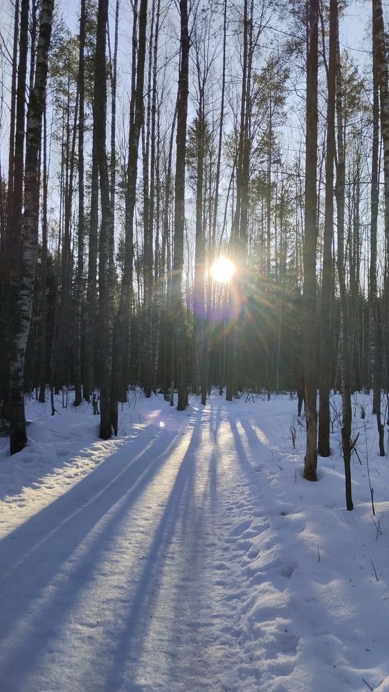 Photograph by Елена Малкова