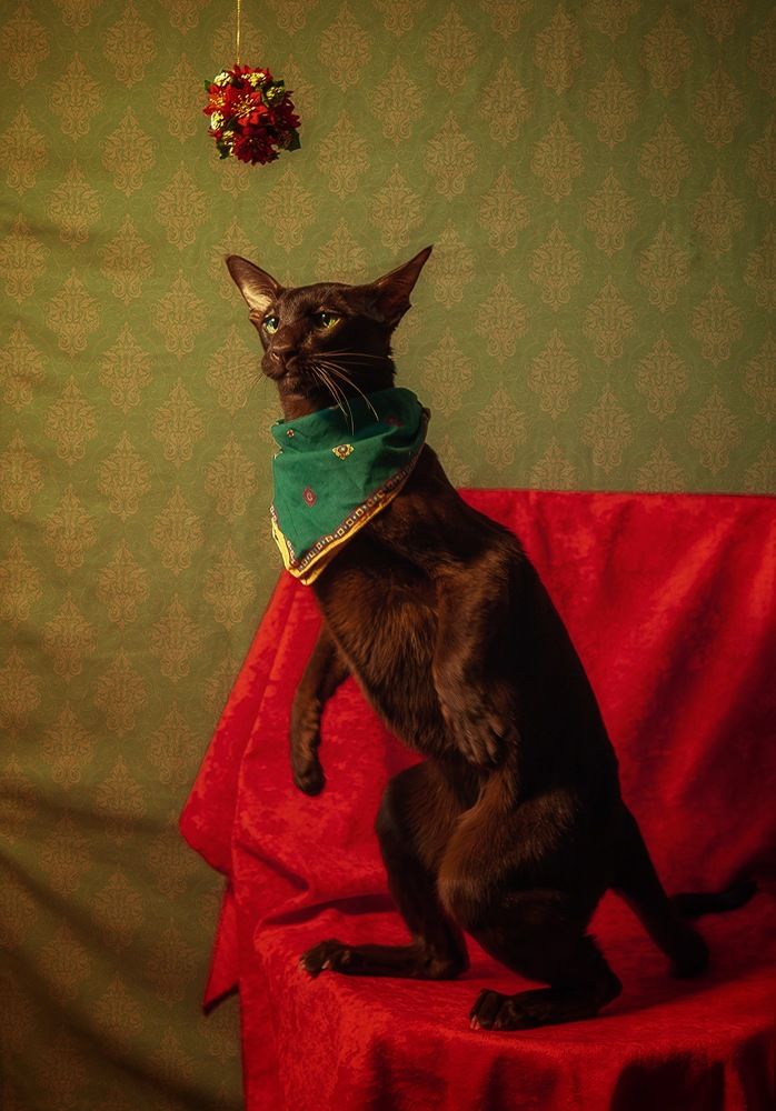 Фотография автора Galina Sa