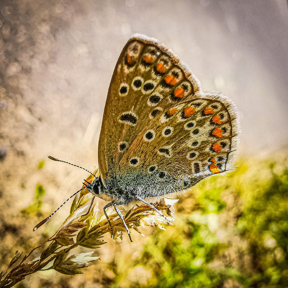 Photograph by Сергей Метлов