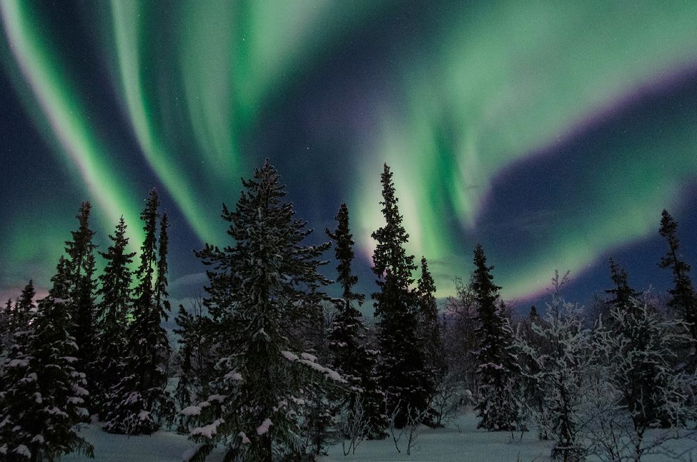 Photograph by Артём Самсонов