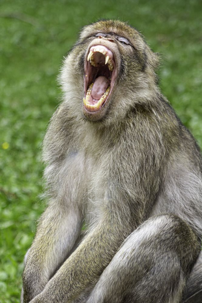 Photograph by Юлия Шурандина