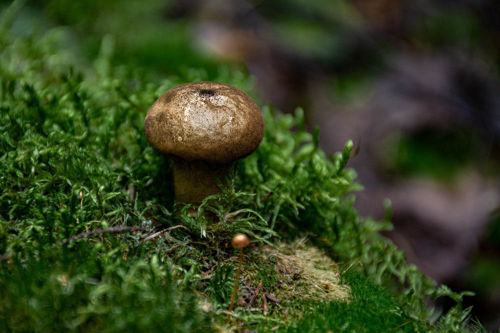 Photograph by Людмила Баймухаметова