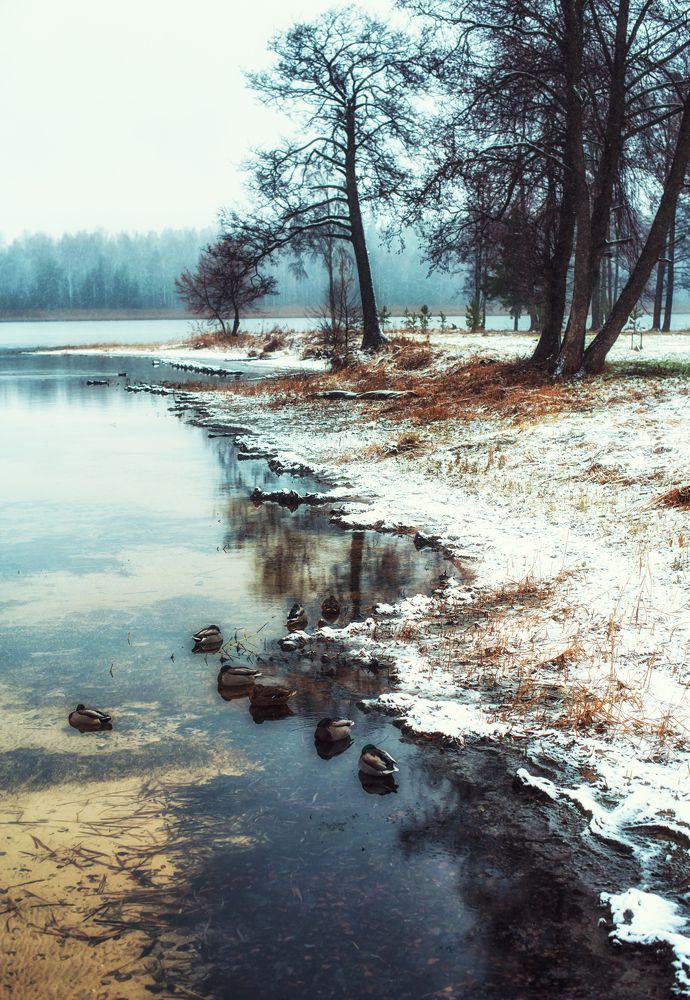 Photograph by Ксения Базарова