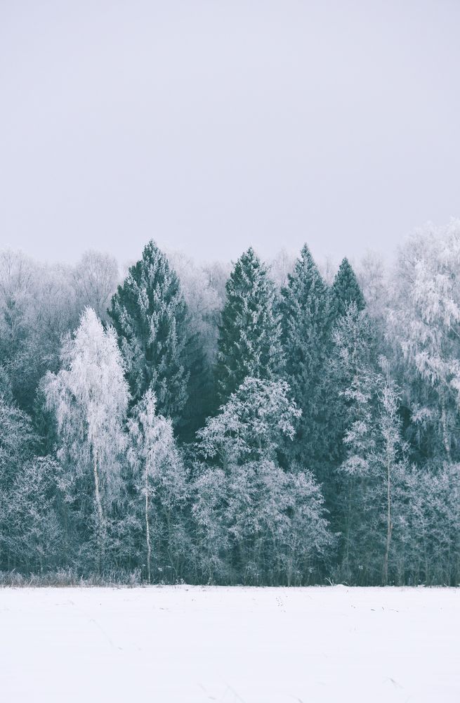 Photograph by Лемехов Иван