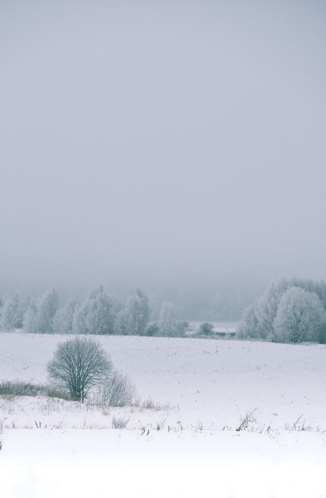 Photograph by Лемехов Иван