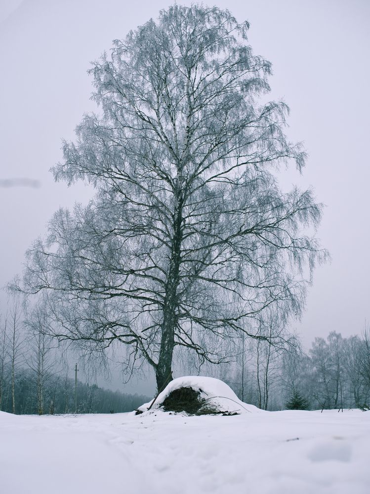 Photograph by Лемехов Иван