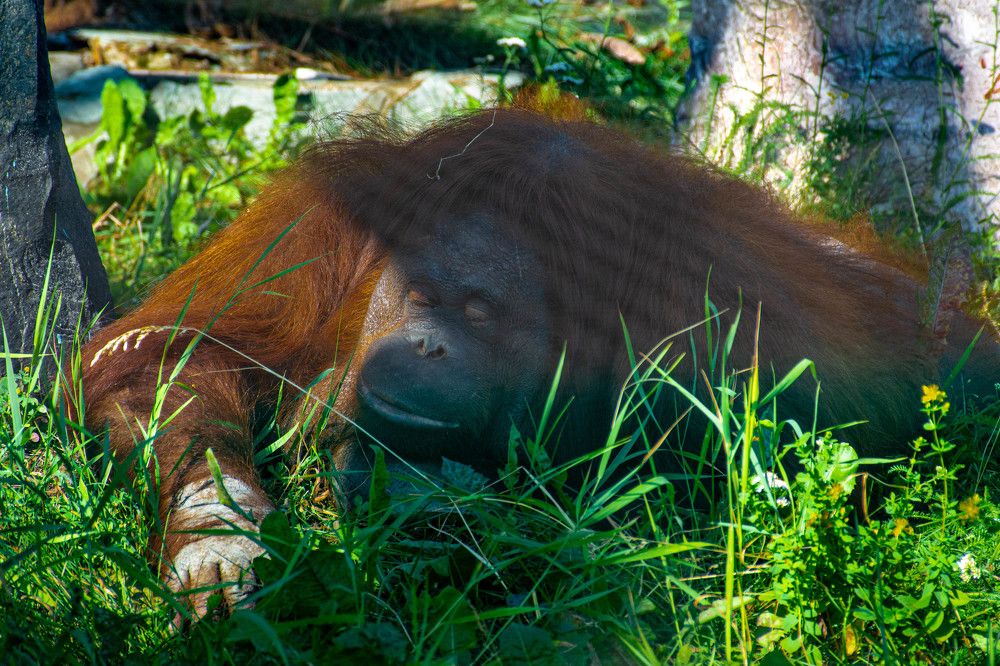 Photograph by Людмила Баймухаметова