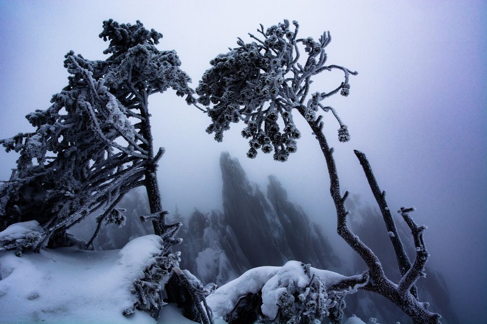 Фотография автора Семён Полторак