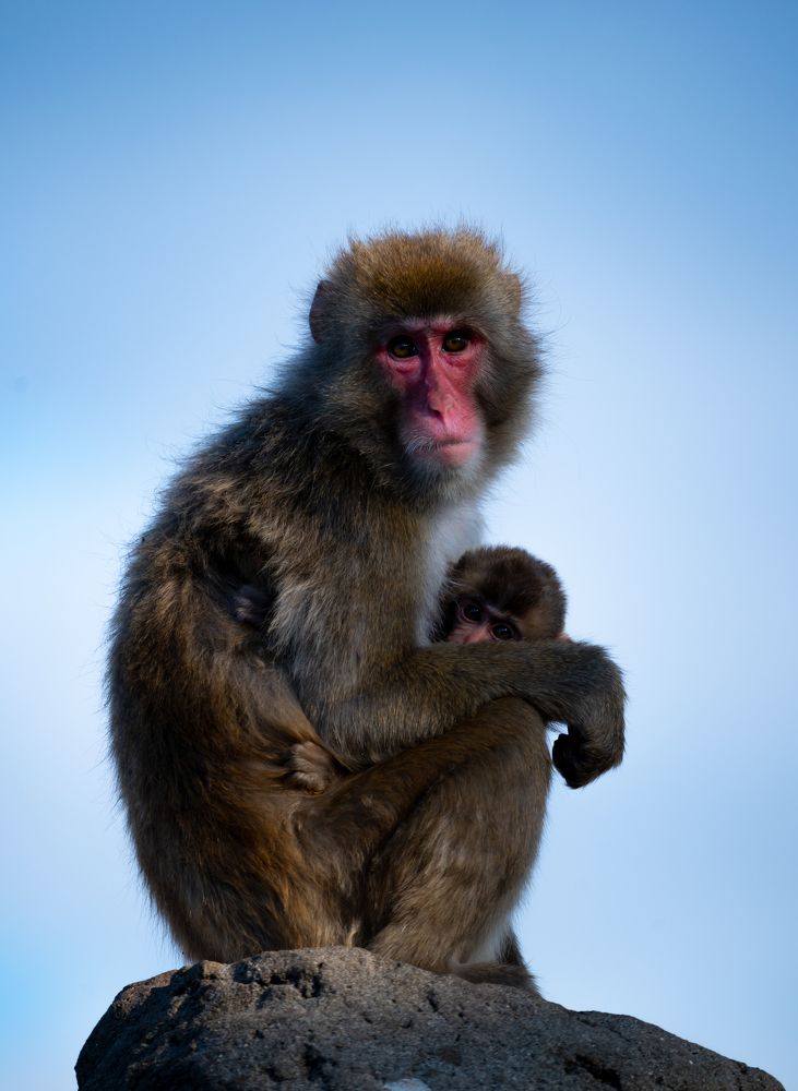 Photograph by JapanTravelPhotographer