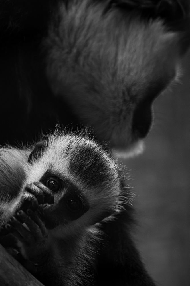 Photograph by Елена Берсенёва