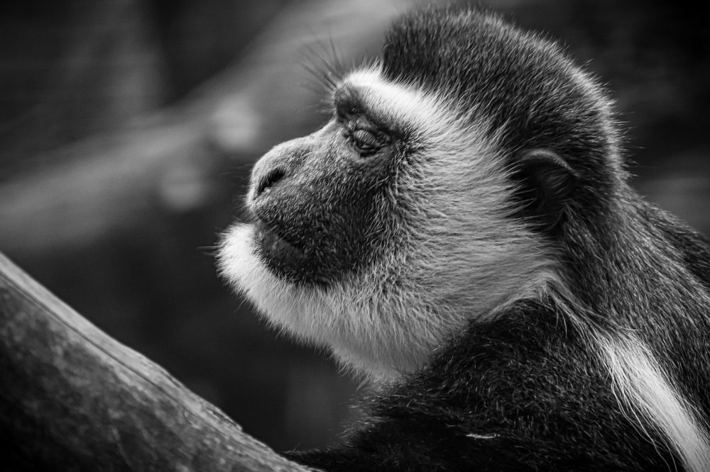 Photograph by Елена Берсенёва