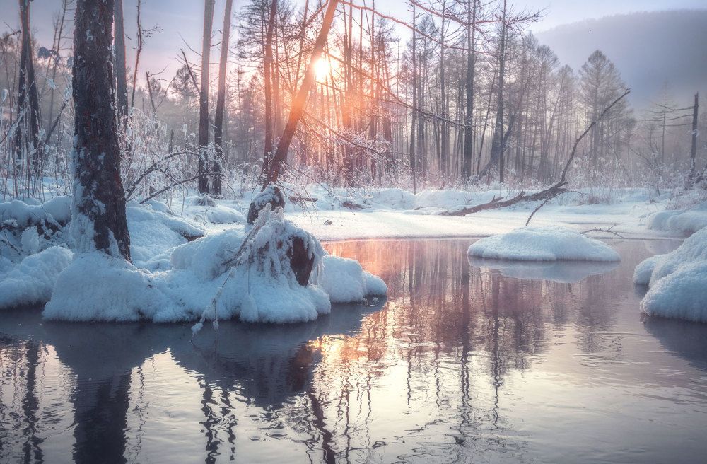 Зимний день на речке.